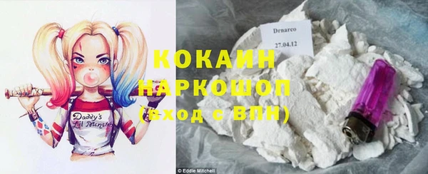 крисы Аркадак
